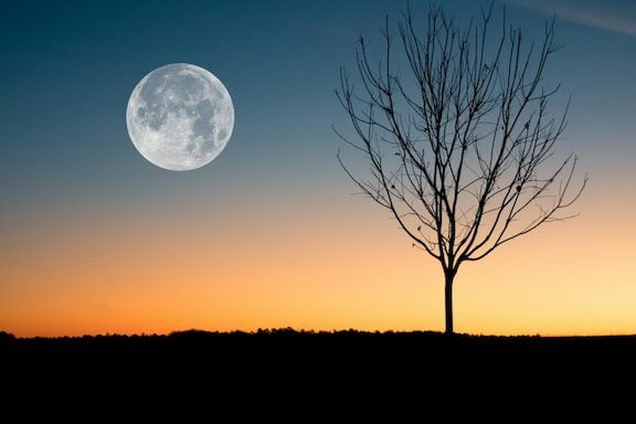 Helping therapists, nurses and professionals with the loneliness of grief and loss Burnout Therapy Online