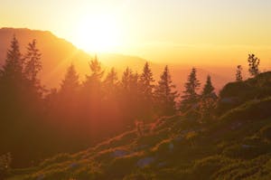 Healing From Burnout