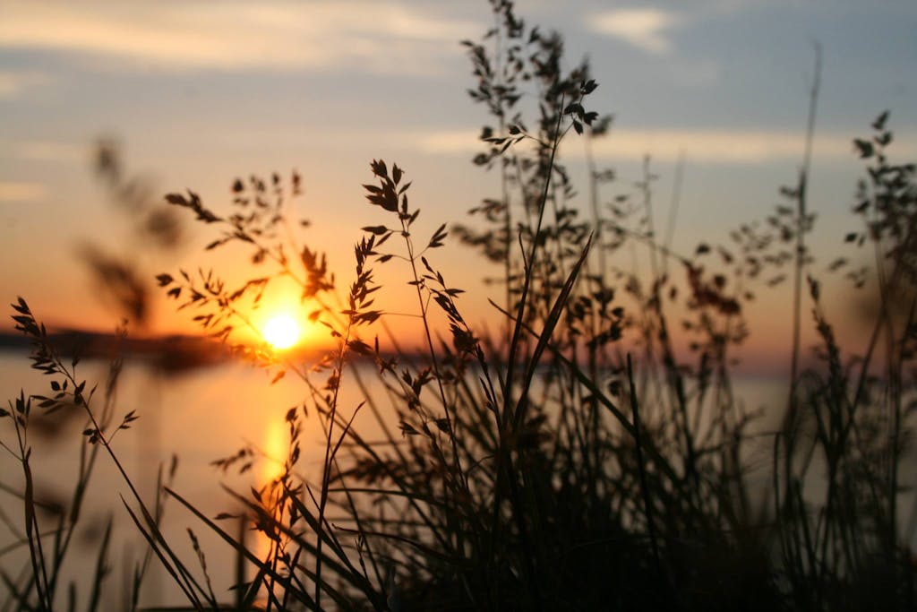 Medical Assistance in Dying Therapy Ontario