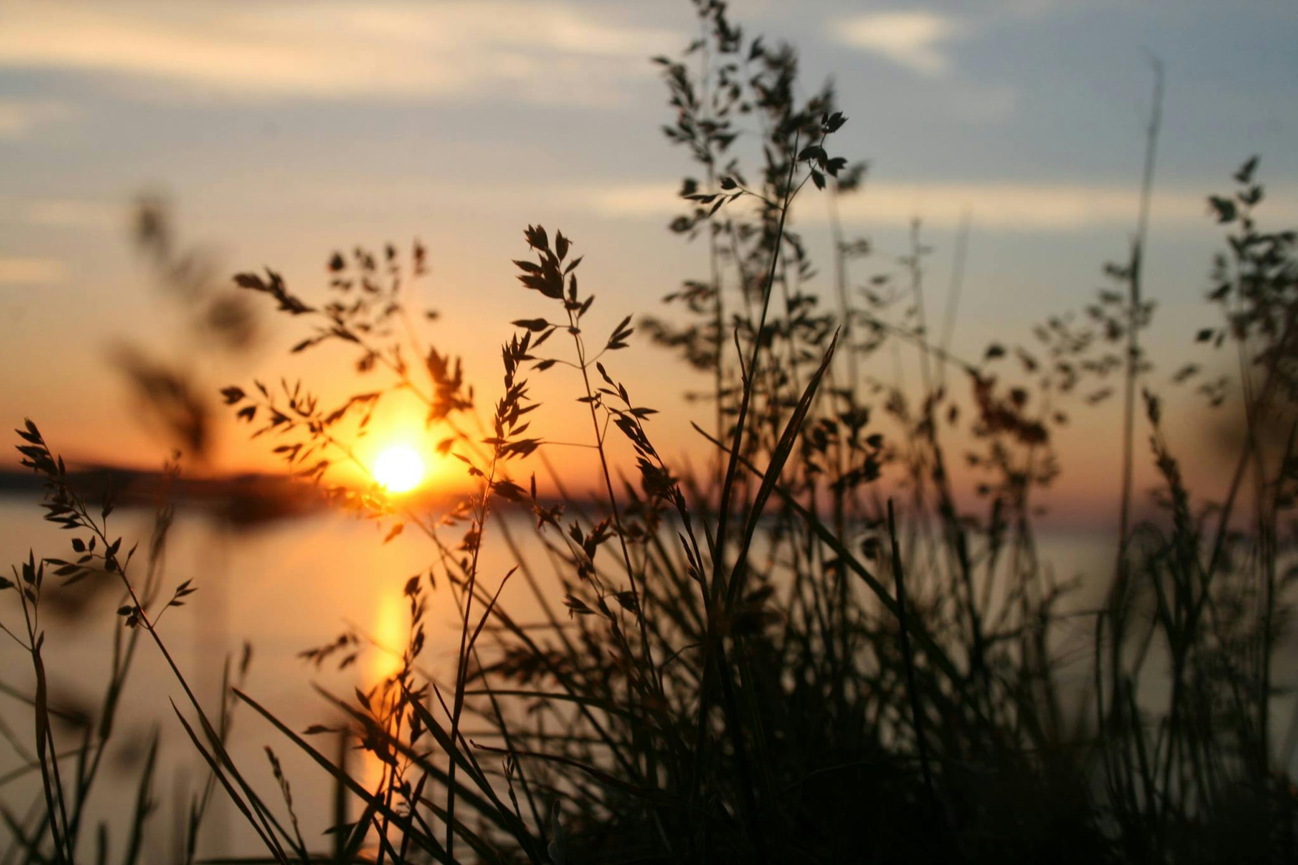 Medical Assistance in Dying Therapy Ontario