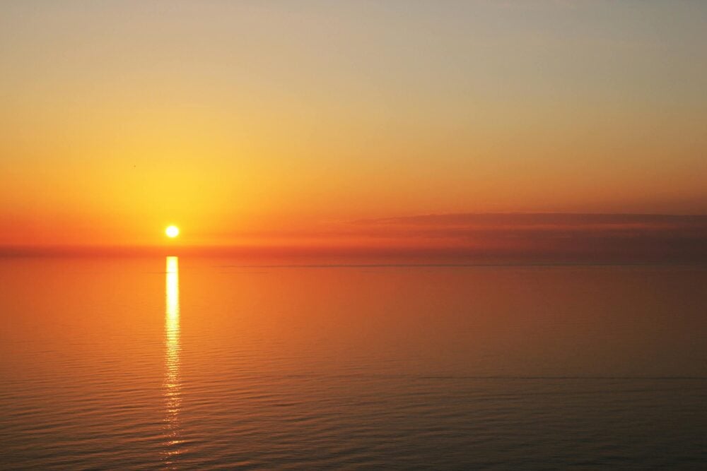 Helping therapists, nurses and professionals with the loneliness of grief and loss Compassion Fatigue
