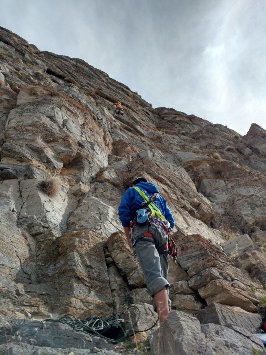 Procrastination and burnout recovery