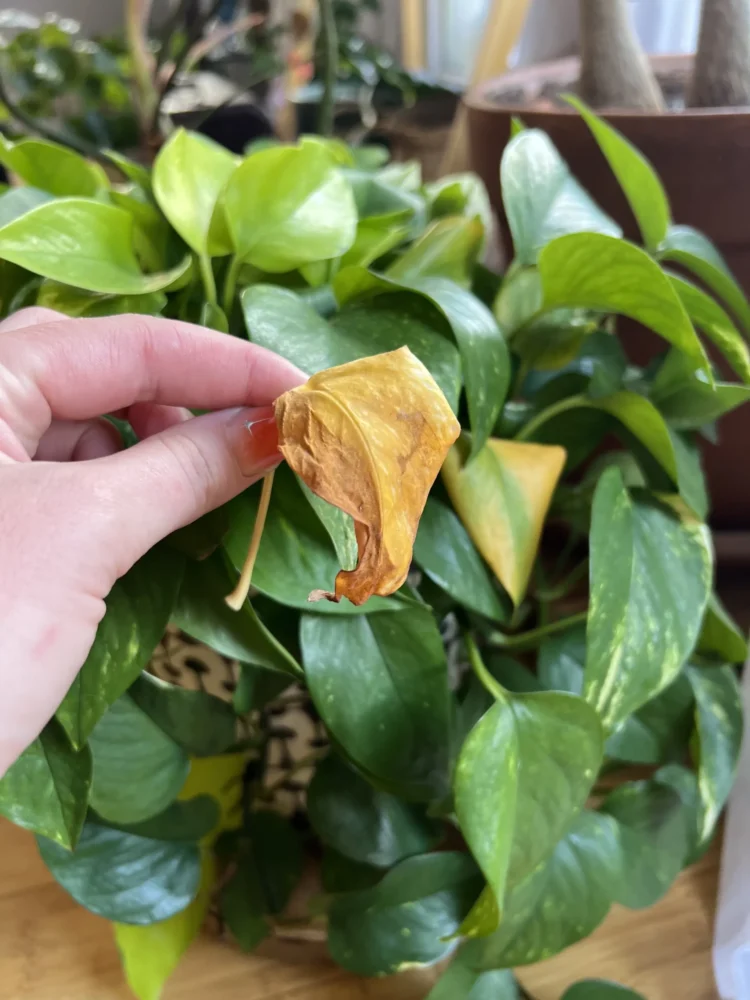 Early Signs of Burnout Ontario