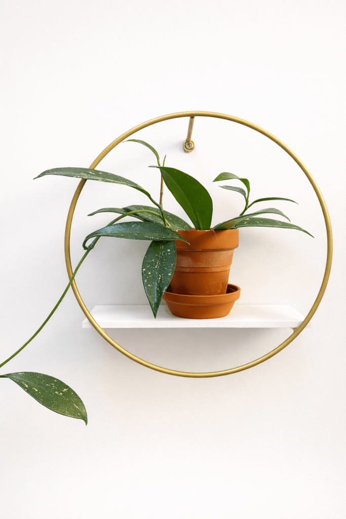 Burnout Recovery Coaching 