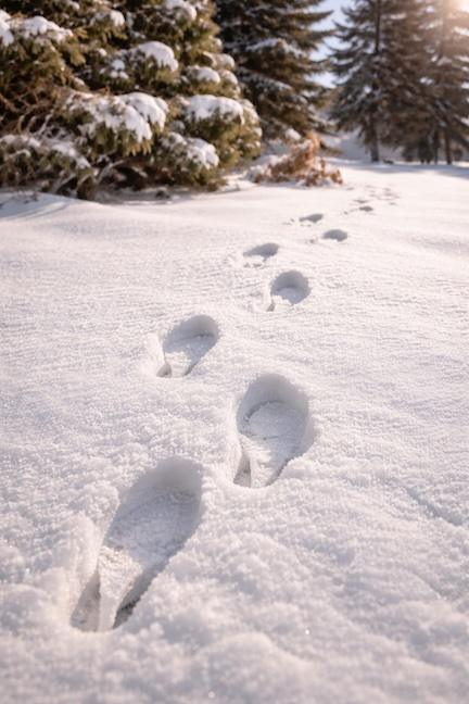 Footprints walking alone through fresh snow symbolizing leadership loneliness and reflection under pressure